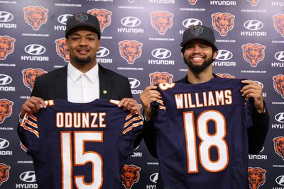 Bears dubbed the most improved team heading into 2024