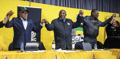 South Africa’s unity government: 5 parties that need to find common ground