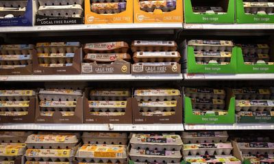 Egg farmers say supply not at risk from bird flu after Coles imposes two-carton limit on shoppers