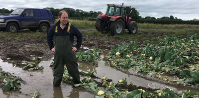 ‘I feel more like a professional gambler’: British farmers reveal their twin struggles with climate change and mental health