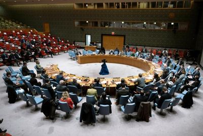 UN Security Council backs US plan for ceasefire in Gaza