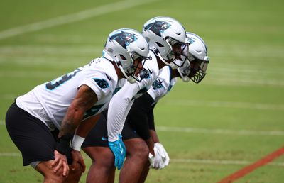 Panthers roster heading into 2024 mandatory minicamp