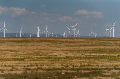 Bureau of Land Management shrinks proposed size of controversial Idaho wind farm project