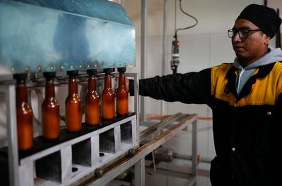 Beer made from the cocaine plant is creating a buzz in Bolivia. Will the rest of the world buy it?