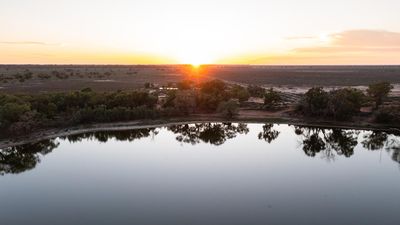 Tree changers expecting too much from life in the bush