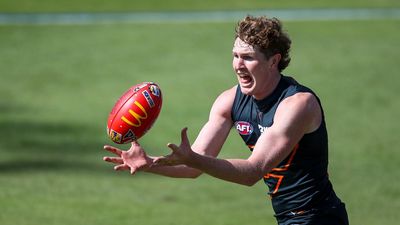 GWS star Green defends controversial free against Hawks