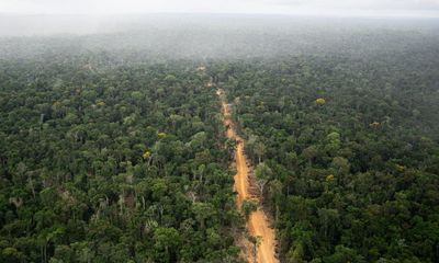 World’s top banks ‘greenwashing their role in destruction of the Amazon’