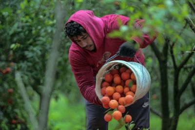 Is breakfast endangered? Disease and extreme weather are jacking up coffee and orange juice prices—and consumers are getting squeezed