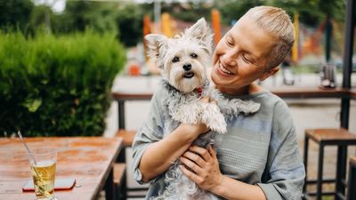 Want your dog to be well-behaved in public? Trainer shares five things you need to work on