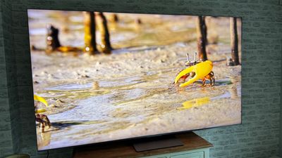 Should you buy a TCL TV on Black Friday? Our verdict on its best low-price, big-screen TVs