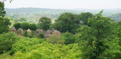 Senegal’s remote Bassari people talk about climate change, and how their local knowledge is key to coping strategies