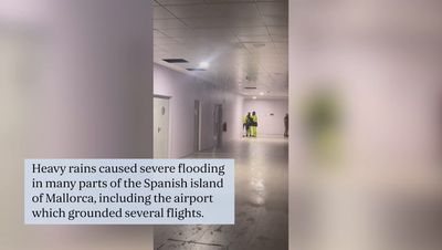 Majorca: Flights grounded after heavy rains cause flooding at tourist hotspot airport