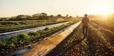 Food has a climate problem: Nitrous oxide emissions are accelerating with growing demand for fertilizer and meat – but there are solutions