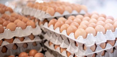 Coles has imposed limits on egg purchases – but is there actually a crisis?