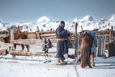 Mongolia Struggles With Devastating Dzud Phenomenon