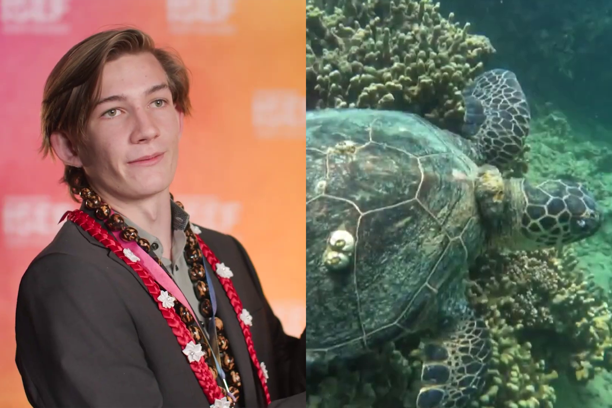 18YO Awarded $10K For Solving Why Local Hawaii Turtles…