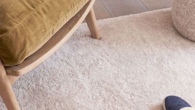 How to clean a sheepskin rug – 7 steps to refresh these luxurious floor coverings