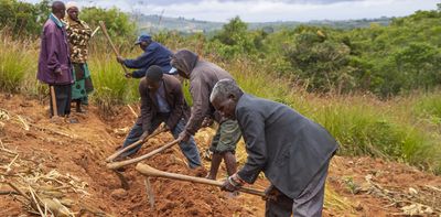 Malawi farming experiment shows how simple changes can boost maize yields and improve soil