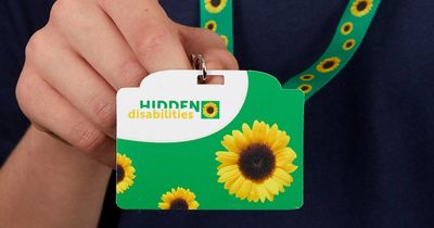'Quiet hour' and hidden sunflowers now part of Access Canberra's services