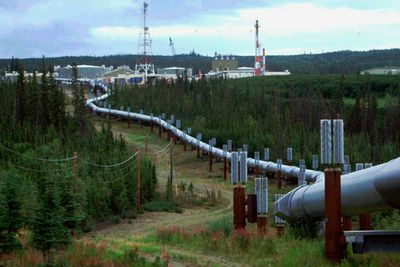 Environmentalists urge US to plan 'phasedown' of Alaska's key oil pipeline amid climate concerns