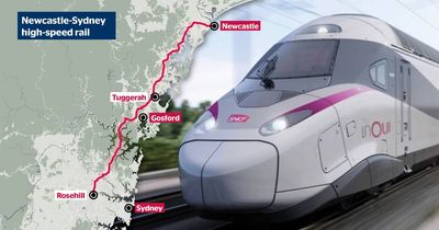 'Very serious': firms named to shape high-speed rail business case