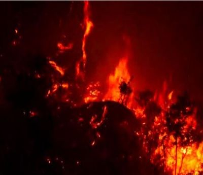 Udhampur Fire Incident : Kaldi forest engulfed in flames for last three days, forest resources destroyed