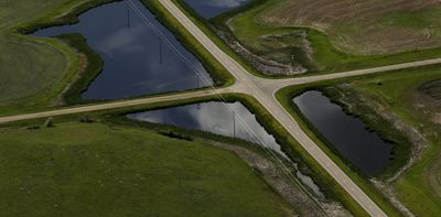 The US is losing wetlands at an accelerating rate − here’s how the private sector can help protect these valuable resources