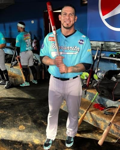 Wilson Ramos: A Determined Batter