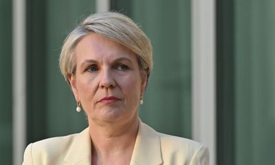 Environmental groups apply to take Tanya Plibersek to high court over coalmine approvals