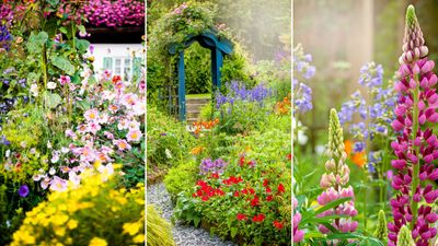 How to plan a cottage garden — 5 simple steps that landscaping pros always follow