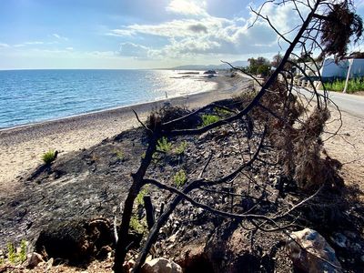 Cyprus and Greece extreme heat: What the wildfires and high temperatures could mean for your holiday