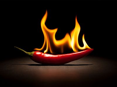 How to mitigate the burn of spicy food