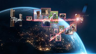 Bark! Meow! Cluck! NASA uses lasers to beam pictures of pet dogs, cats and chickens to the ISS