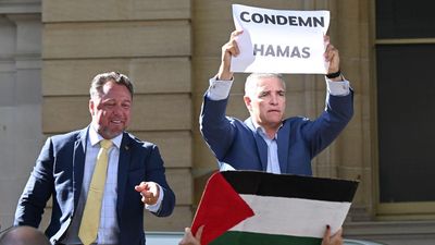 Two MPs found in contempt over pro-Palestine protest