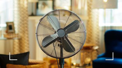 Is it expensive to run an electric fan? Energy experts explain the costs