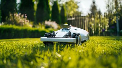 Mammotion LUBA 2 AWD robot lawn mower review: the future of autonomous lawn maintenance