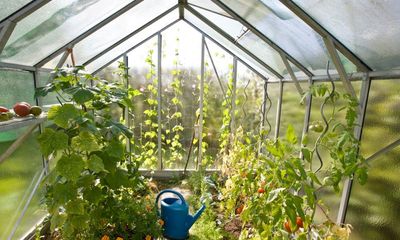 It’s feeding time: why plants need more than sunlight and water to thrive