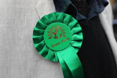Green Party removes HIV image from online manifesto after backlash
