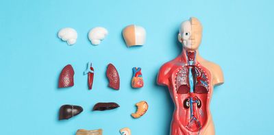 Body organs aren’t always where they are supposed to be