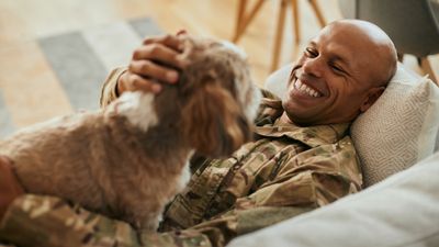 Service dogs for veterans help ease PTSD, according to new study