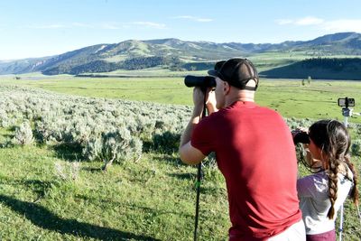 Yellowstone visitors clamor to catch a glimpse of an elusive white bison calf