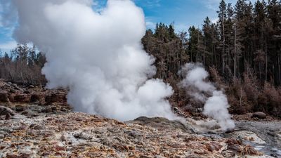 Man jailed, fined, and banned after trespassing near Yellowstone geyser to take photos