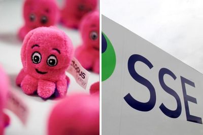Octopus and SSE chief executives named in Honours list