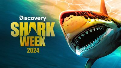 Shark Week 2024: schedule, host, shows and everything we know about the summer TV tradition