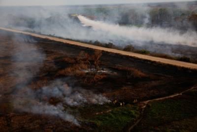 Brazil's Pantanal Faces Record-Breaking Fires And Drought Crisis