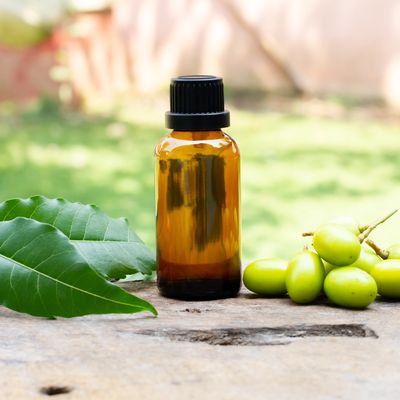 Can you use neem oil for plants? And how to use this natural pesticide *if* you meet this one important requirement
