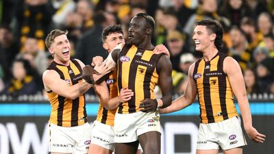 Belief growing as Hawks prove too good for Tigers