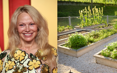 Pamela Anderson's Raised Vegetable Beds Nail TikTok's "Garden Girl" Trend — Experts Explain How to Recreate the Look