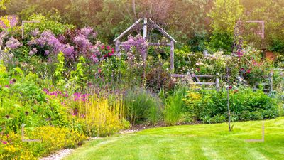 Fill your garden with plants for free by following our essential tips