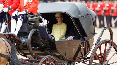 Duchess Sophie shines in yellow despite the rain for Trooping the Colour – and her dress sends a significant hidden message